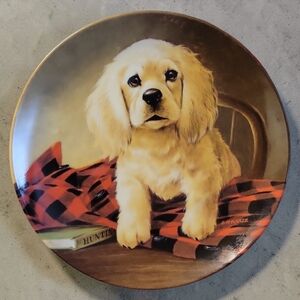 Vtg 1988 Cocker Spaniel Field Puppies Shirt Tales United Kennel Club Dog Plate